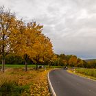 ***     der herbst hinterläßt seine ..........       ***