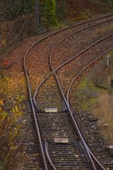 Der Herbst hinterlässt seine Spuren....