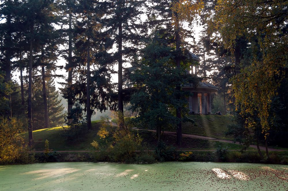 Der Herbst im Bremer Bürgerpark