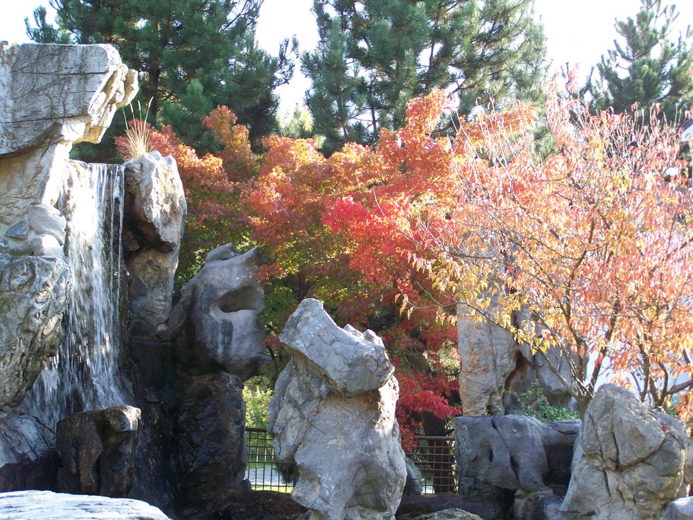 der herbst im garten