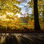 Der Herbst im Gegenlicht