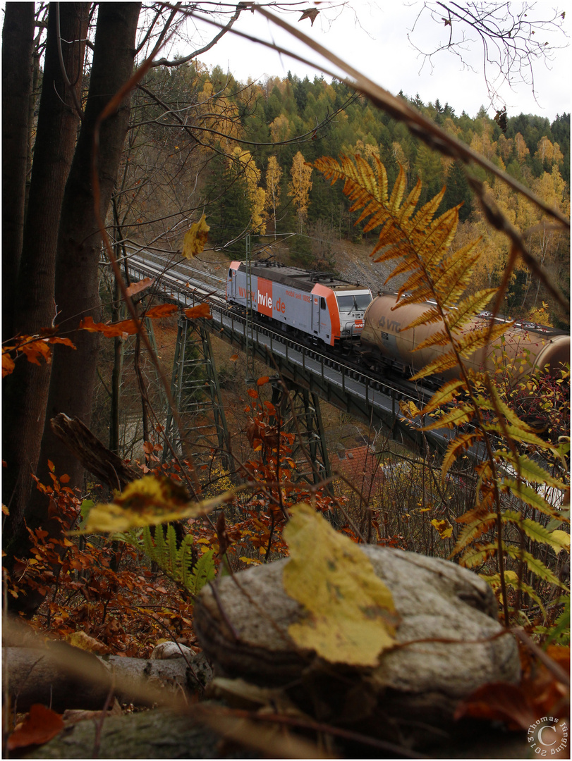 Der Herbst im Harz...