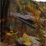 Der Herbst im Harz...