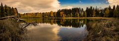 der Herbst im Harz