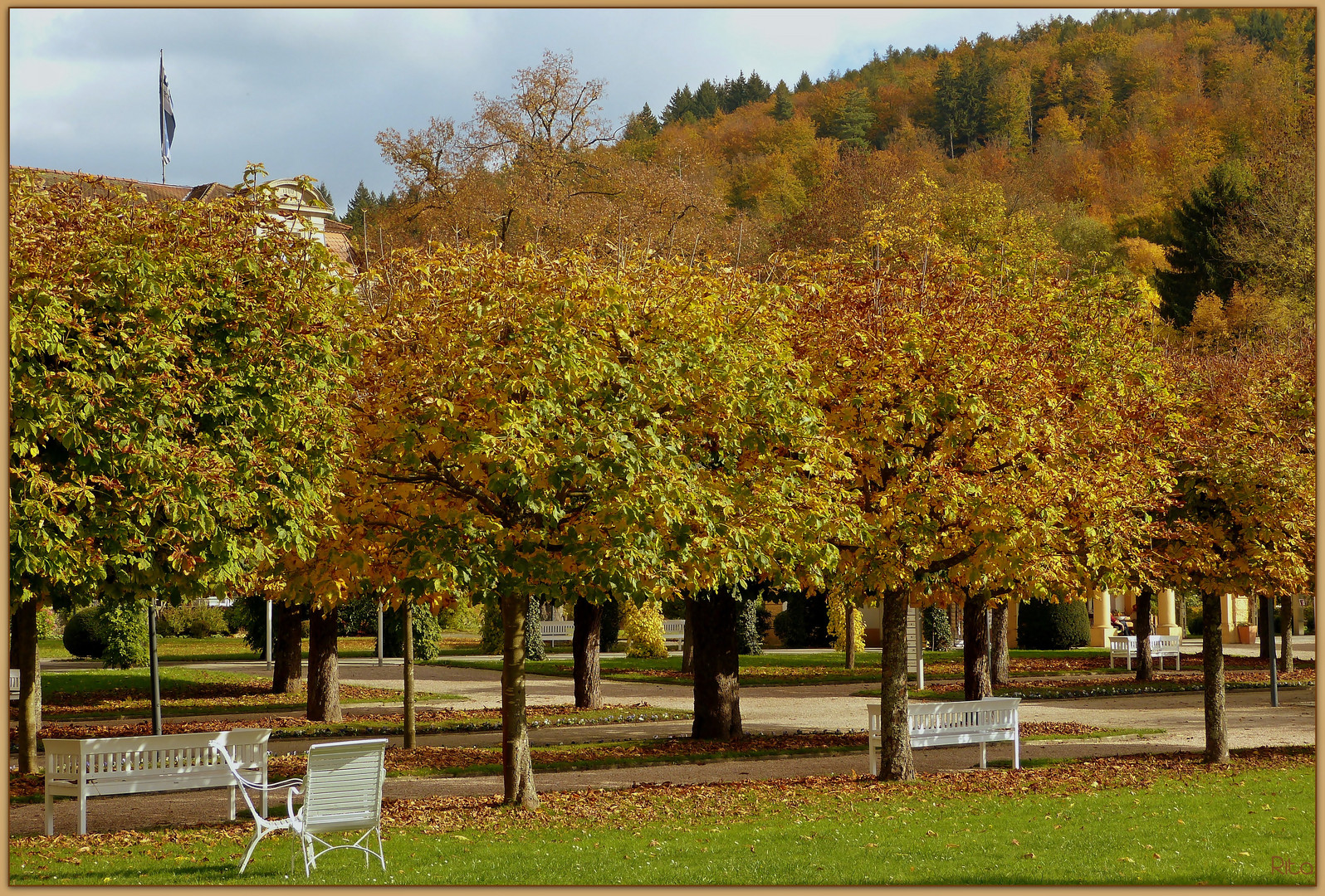 der Herbst im Kurpark...