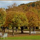 der Herbst im Kurpark...