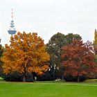 Der Herbst im Luisenpark Mannheim