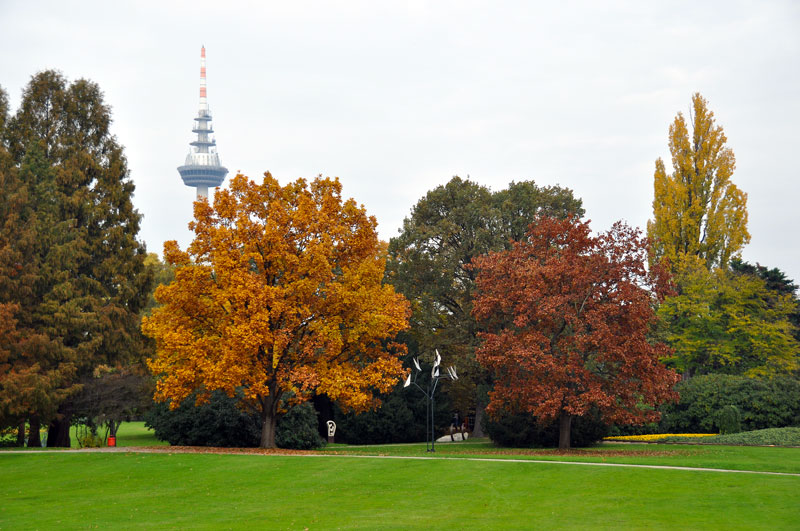 Der Herbst im Luisenpark Mannheim
