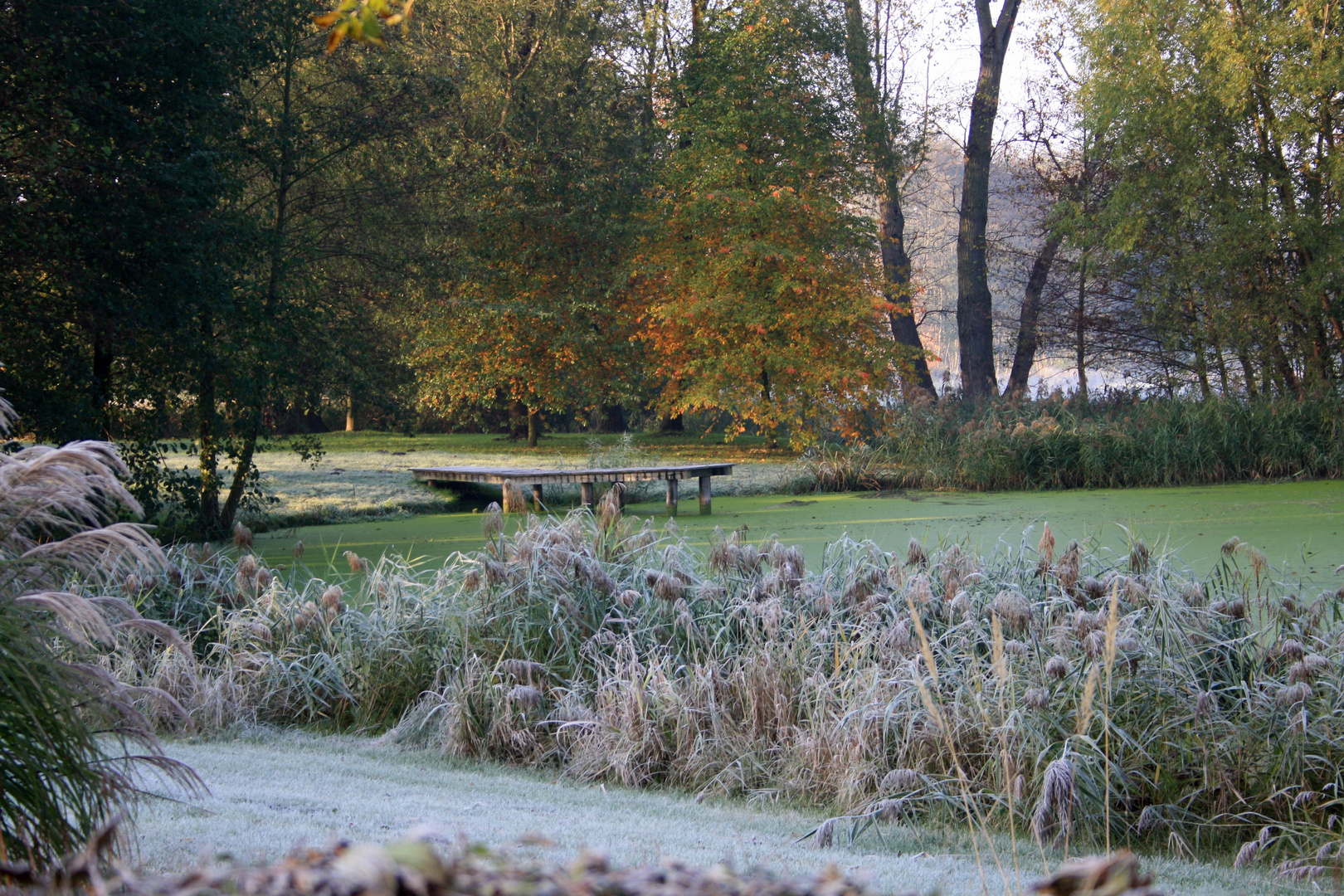 Der Herbst im Morgenmantel