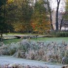 Der Herbst im Morgenmantel