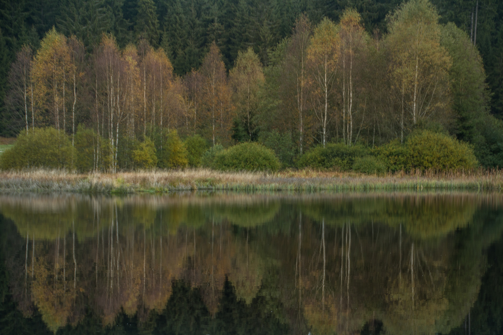 Der Herbst im Mühlviertel 