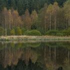 Der Herbst im Mühlviertel 