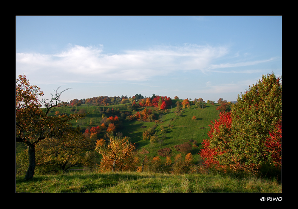 der Herbst im Murgtal......