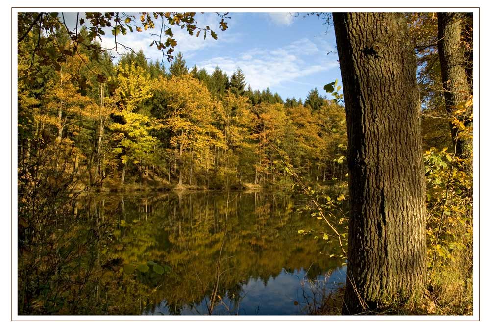 Der Herbst im Oberbergischen