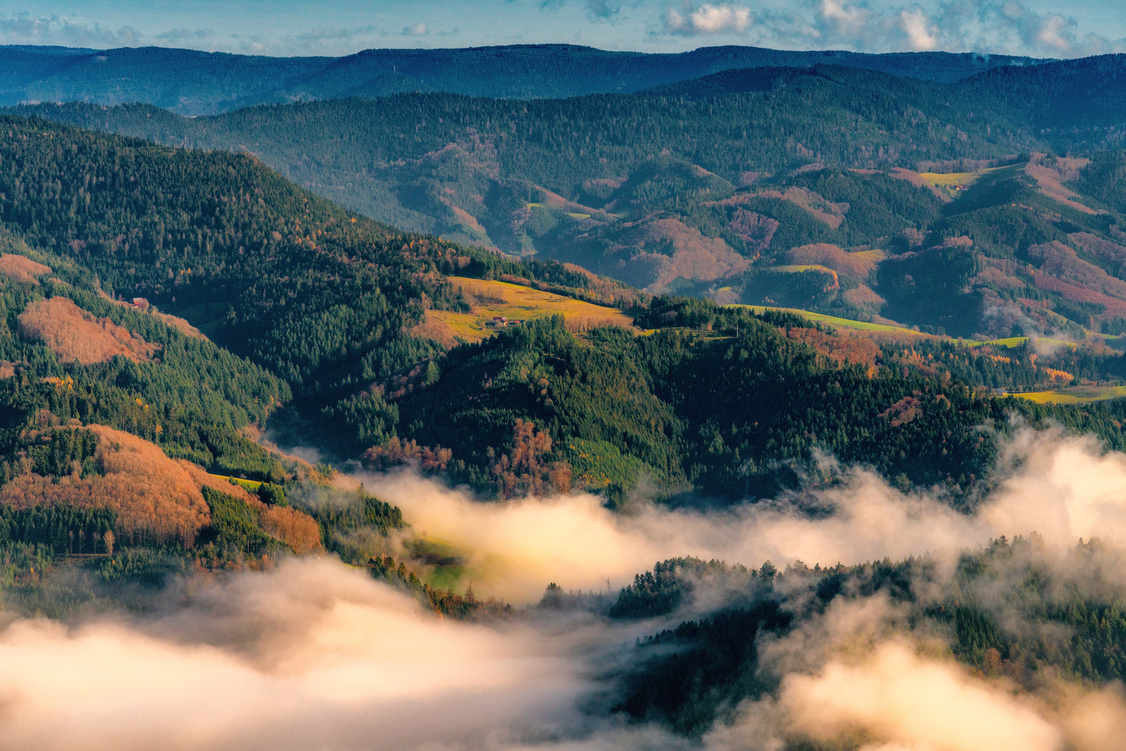 Der Herbst im Schwarzwald 