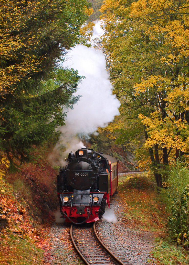 Der Herbst im Selketal