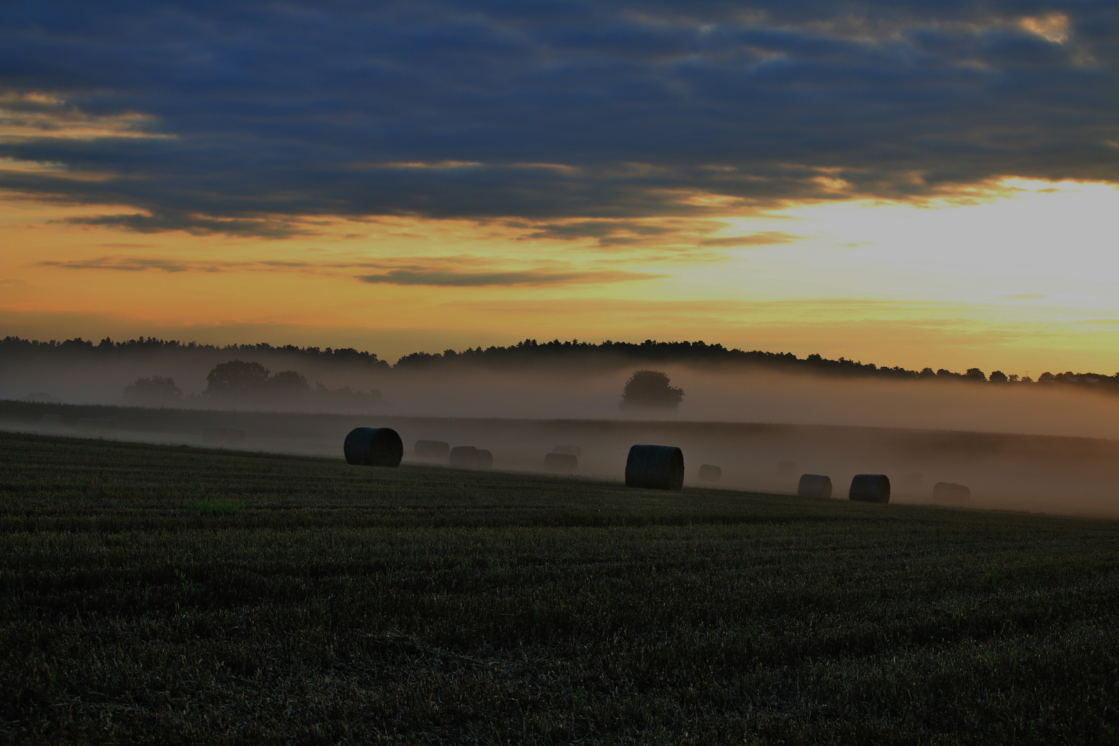 Der Herbst im Spätsommer/ 1