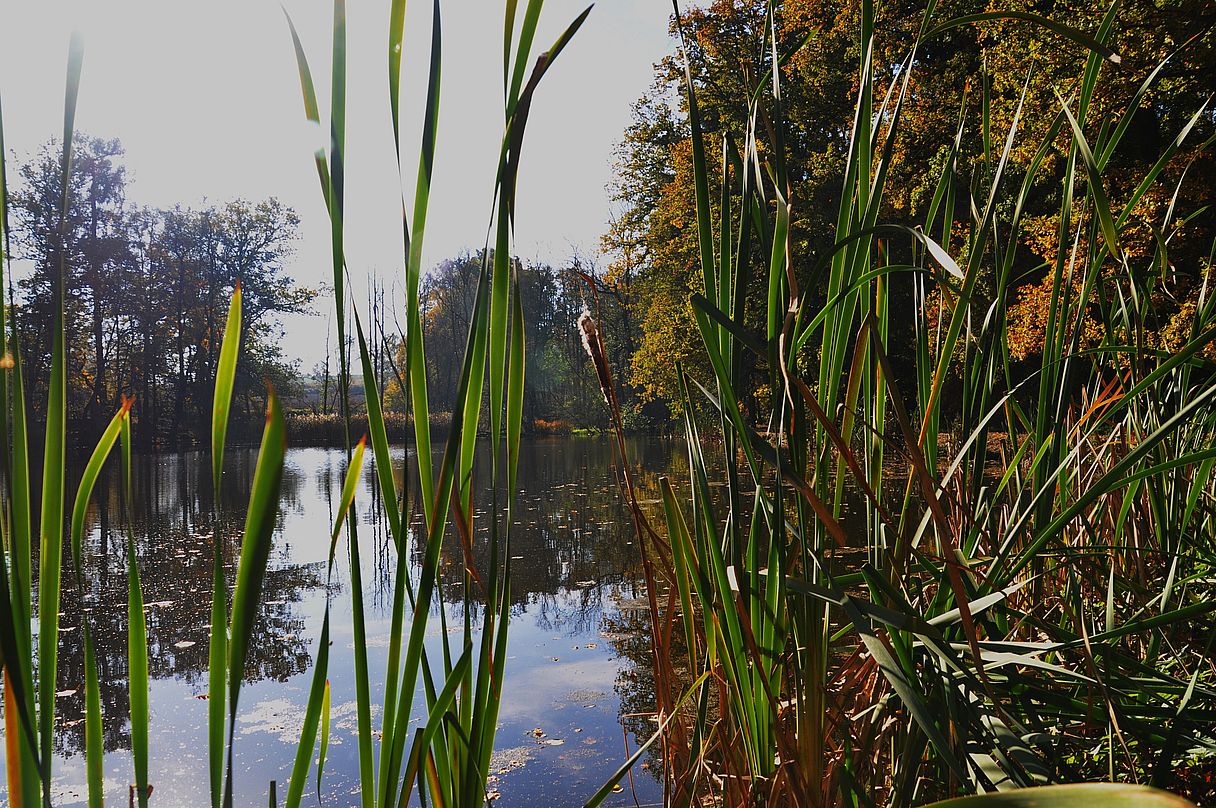  Der Herbst im Spiegel...