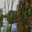  Der Herbst im Spiegel...