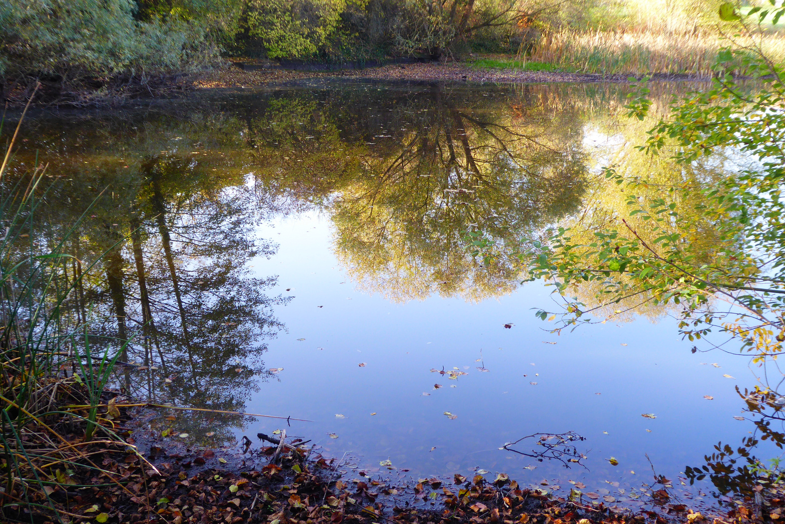 Der Herbst im Spiegel