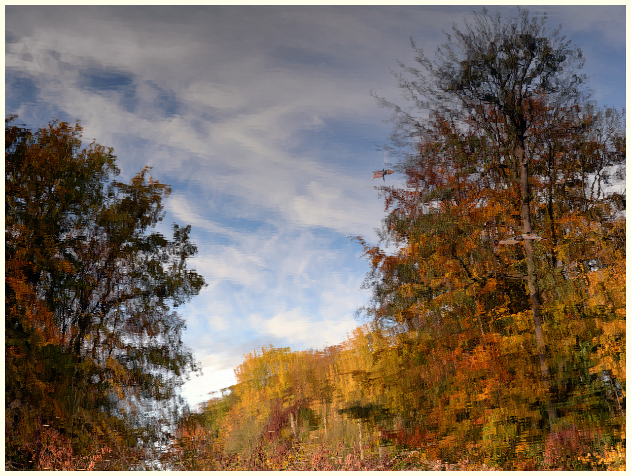 Der Herbst im Spiegel