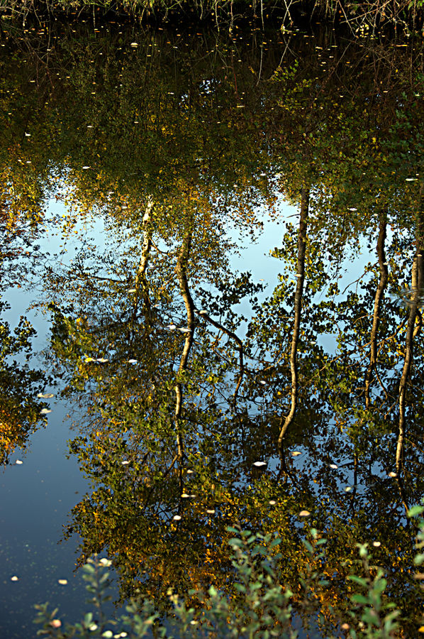 Der Herbst im Spiegel ....