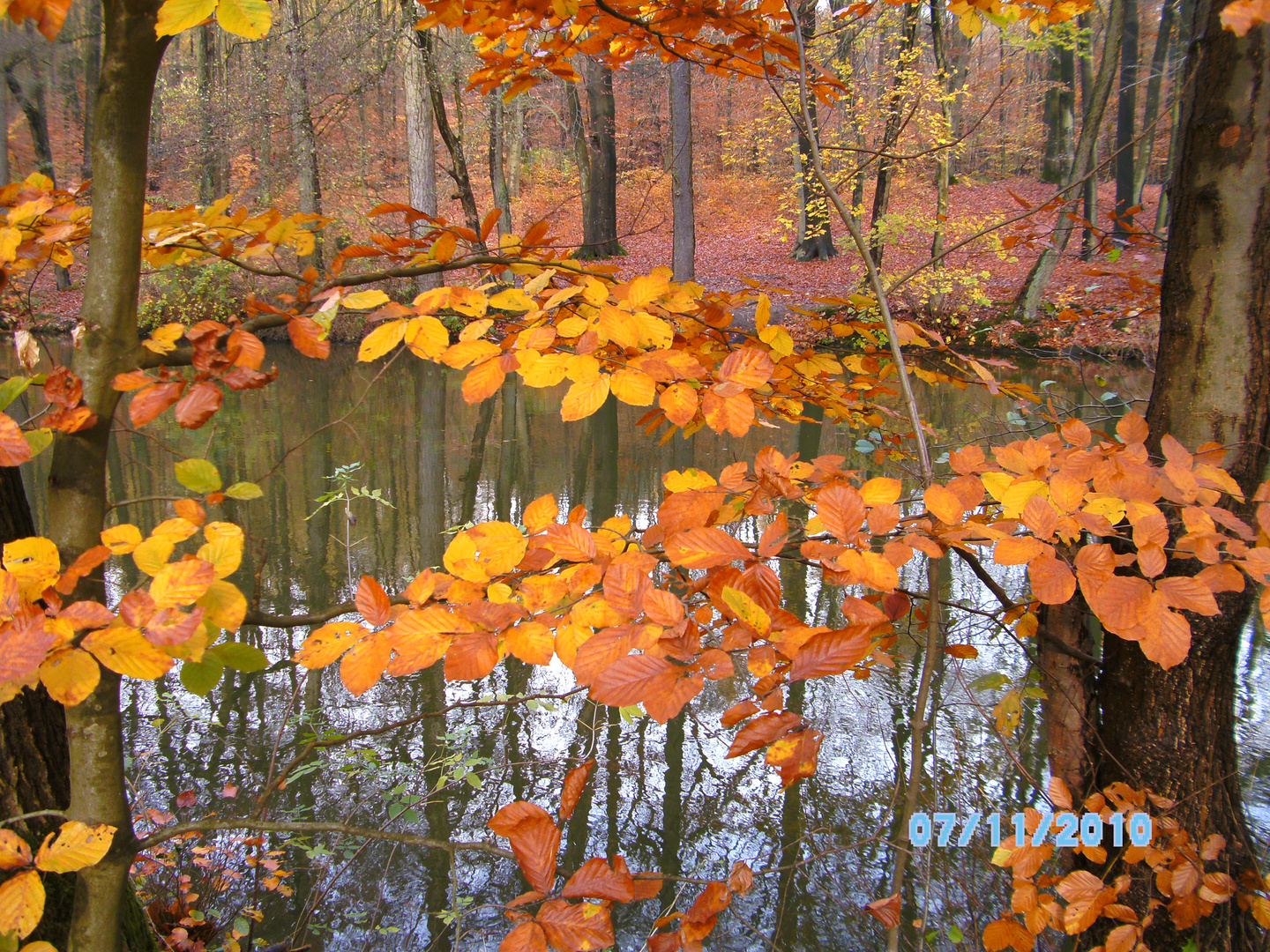 Der Herbst im Spiegel der Stever!