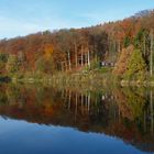 Der Herbst im Spiegel