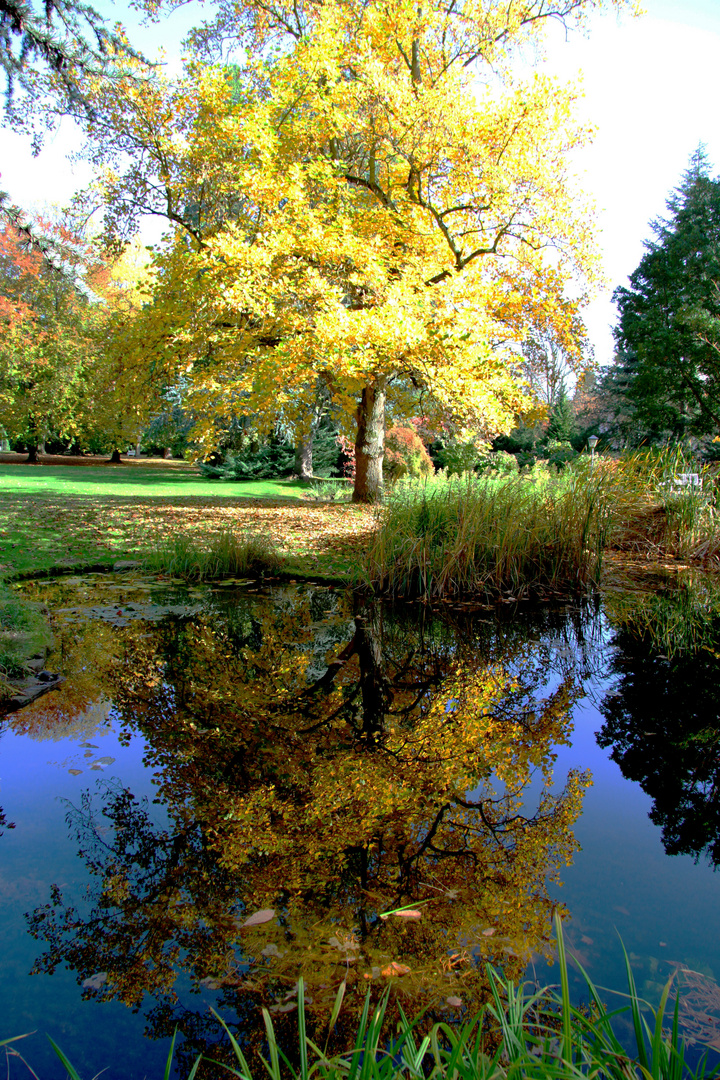 Der Herbst im Spiegel