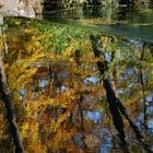 Der Herbst im Wasser