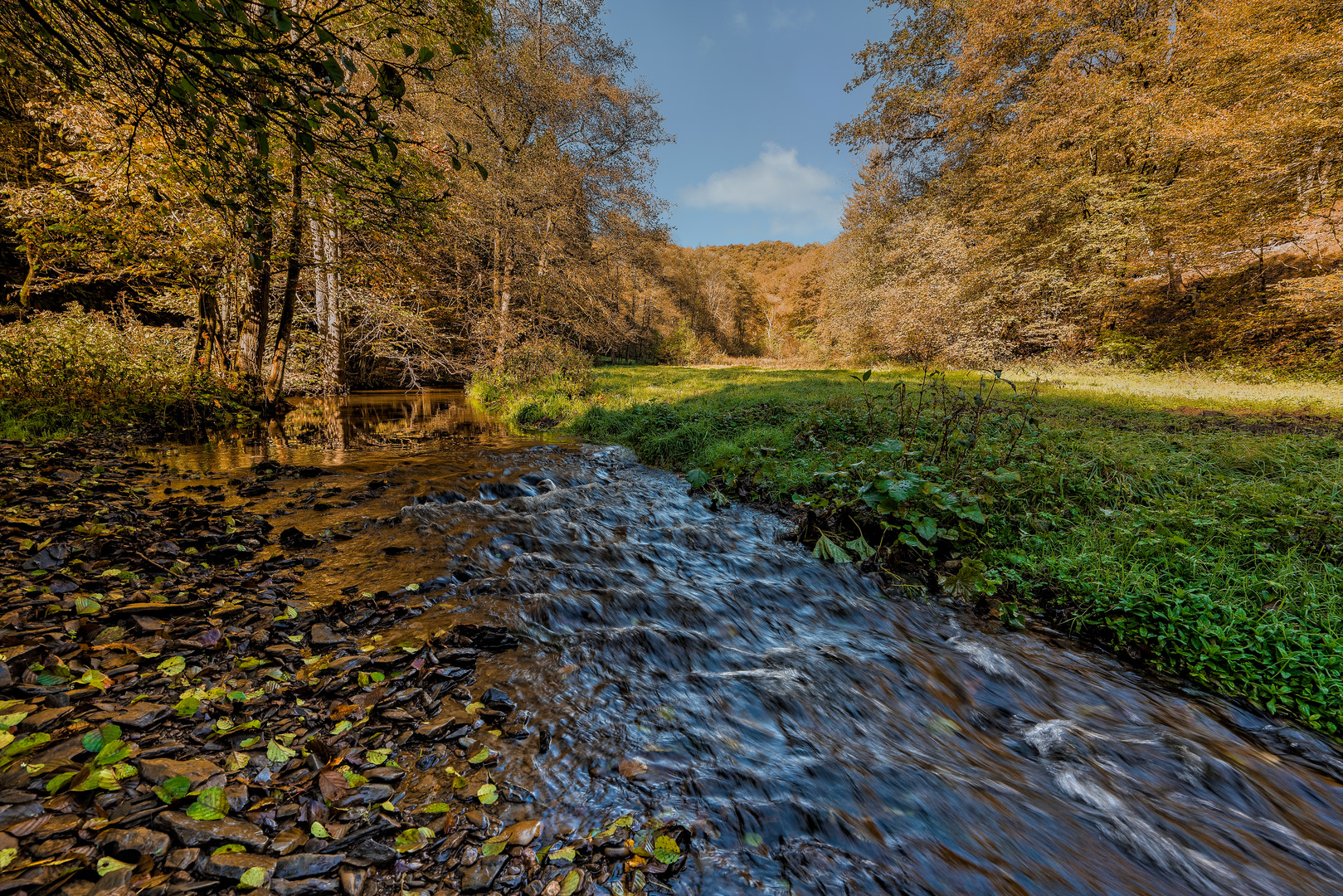 Der Herbst im Westerwald, Deutschland 2014