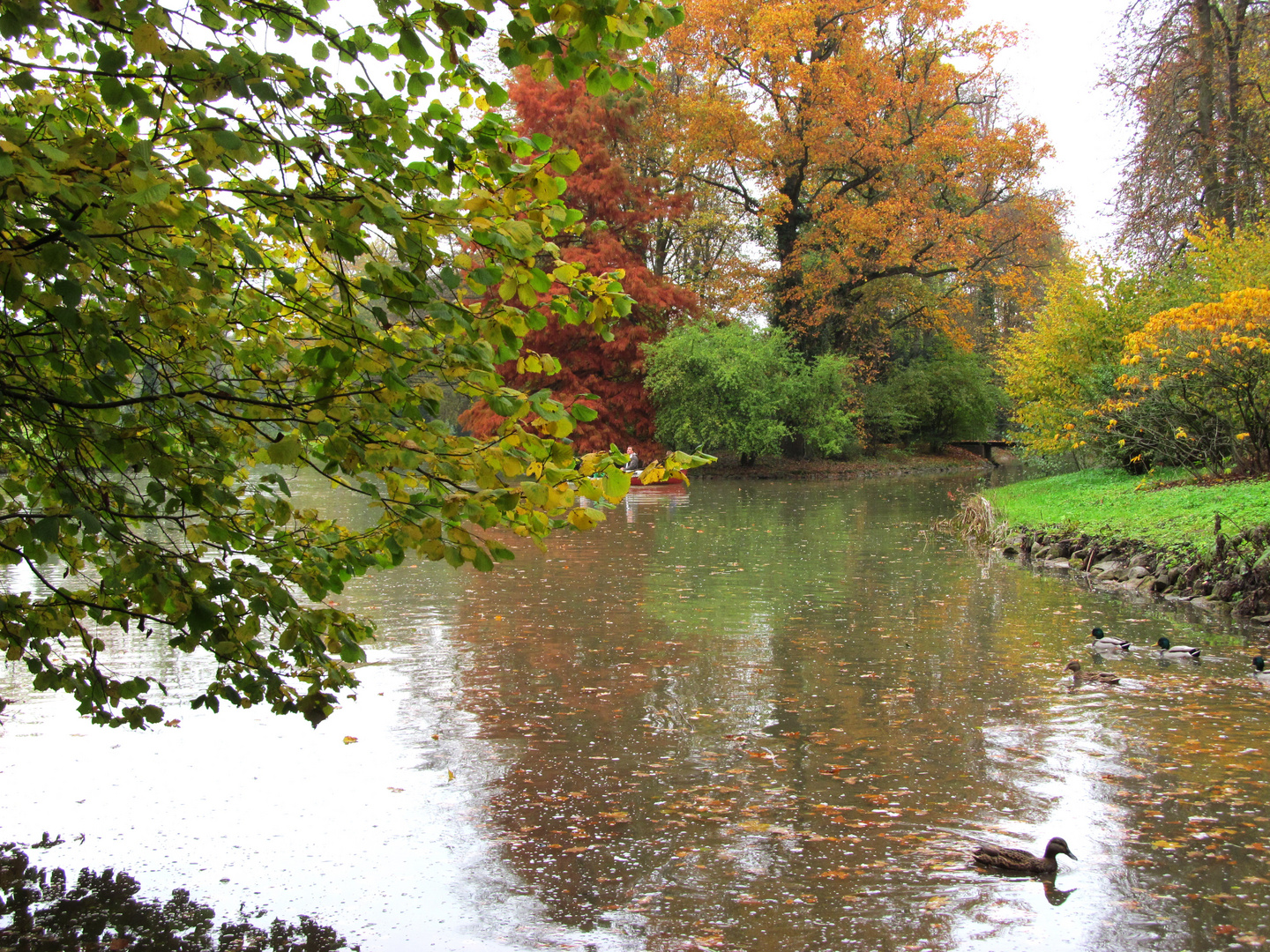 Der Herbst in all seinen Farben