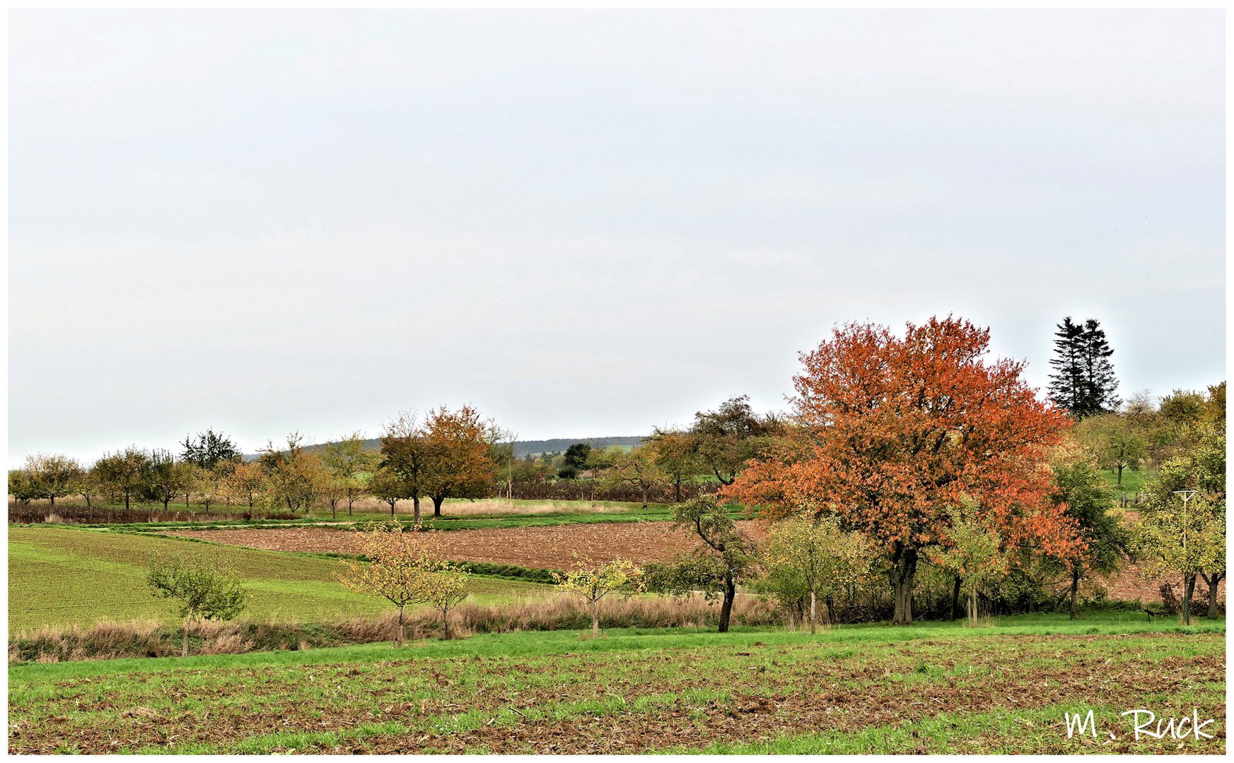 Der Herbst in all seinen Farben  !