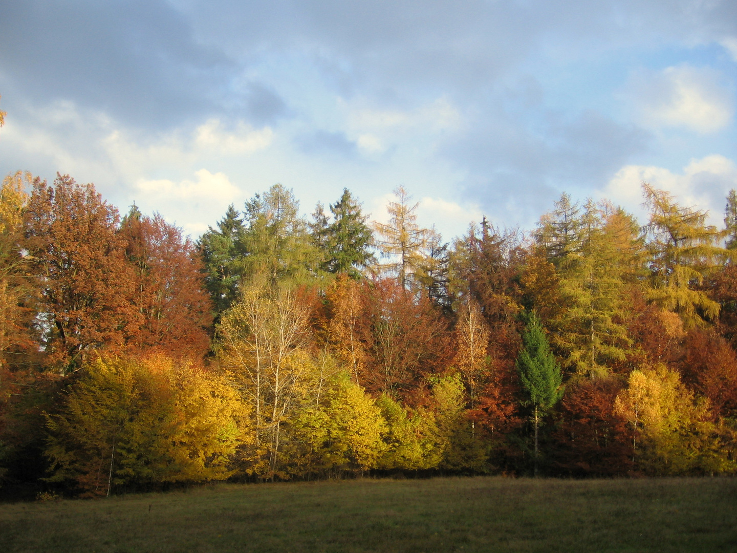 Der Herbst in all seinen Farben