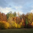 Der Herbst in all seinen Farben