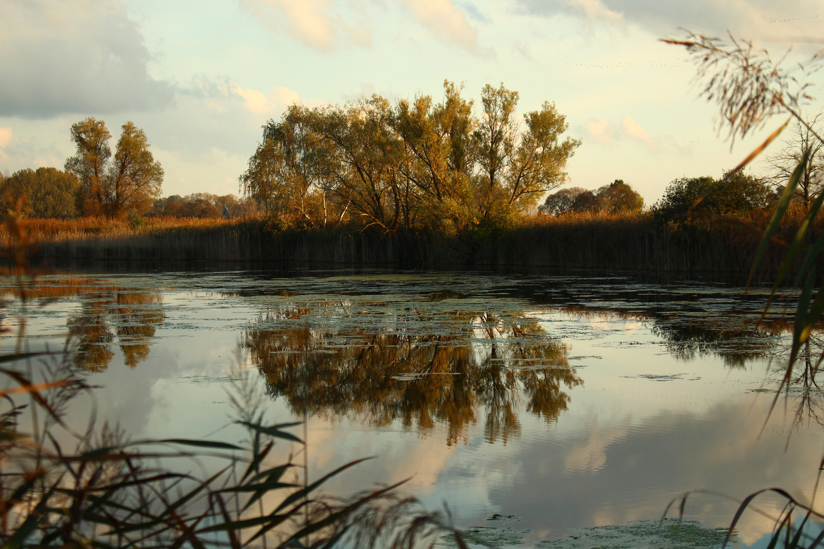 Der Herbst in Brandenburg