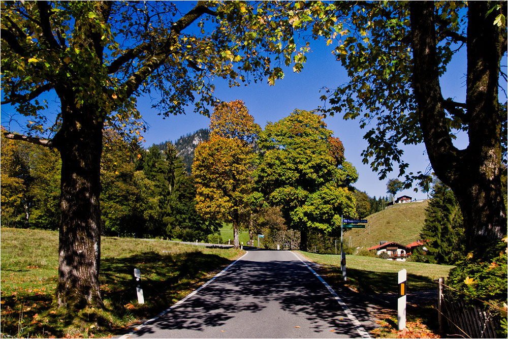 der Herbst in den Bergen