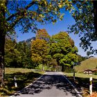 der Herbst in den Bergen