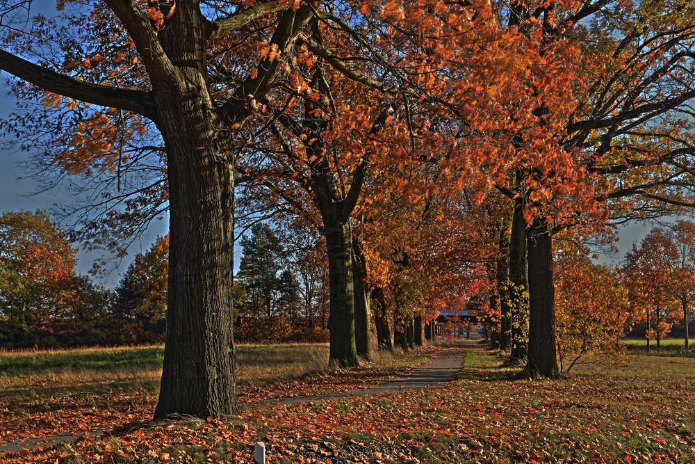 Der Herbst in der Lausitz 2