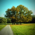 Der Herbst in Dülmen