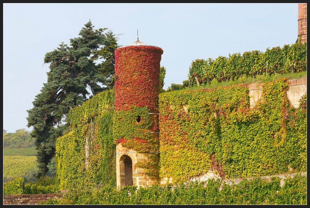 Der Herbst in Frankreich