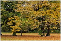 Der Herbst in Gelb