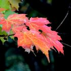 Der Herbst in Kanada