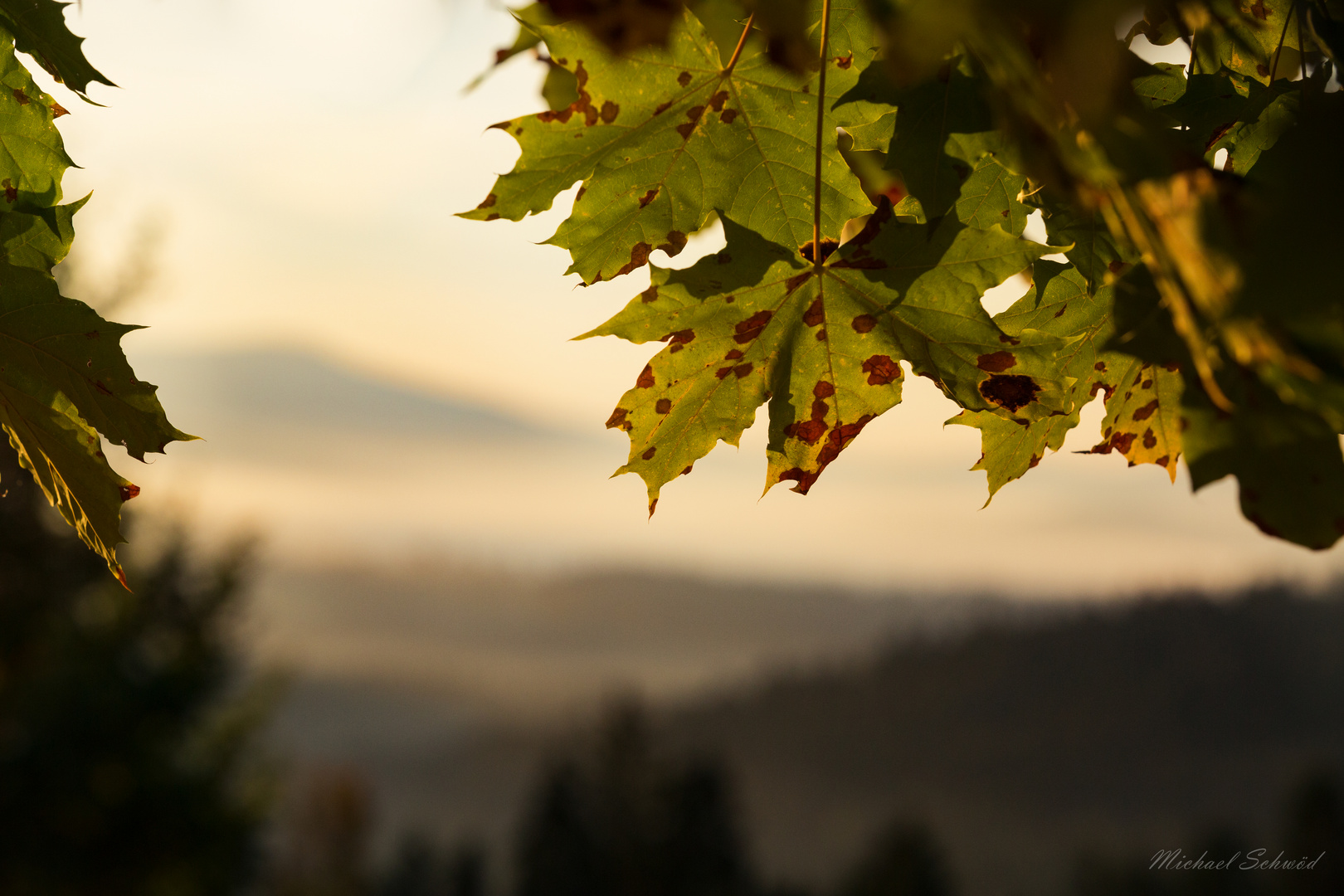 Der Herbst in kleinen Schritten