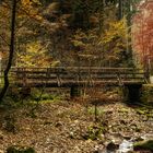 Der Herbst in seinen letzten Zügen