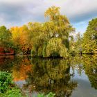 Der Herbst in seinen schönsten Farben