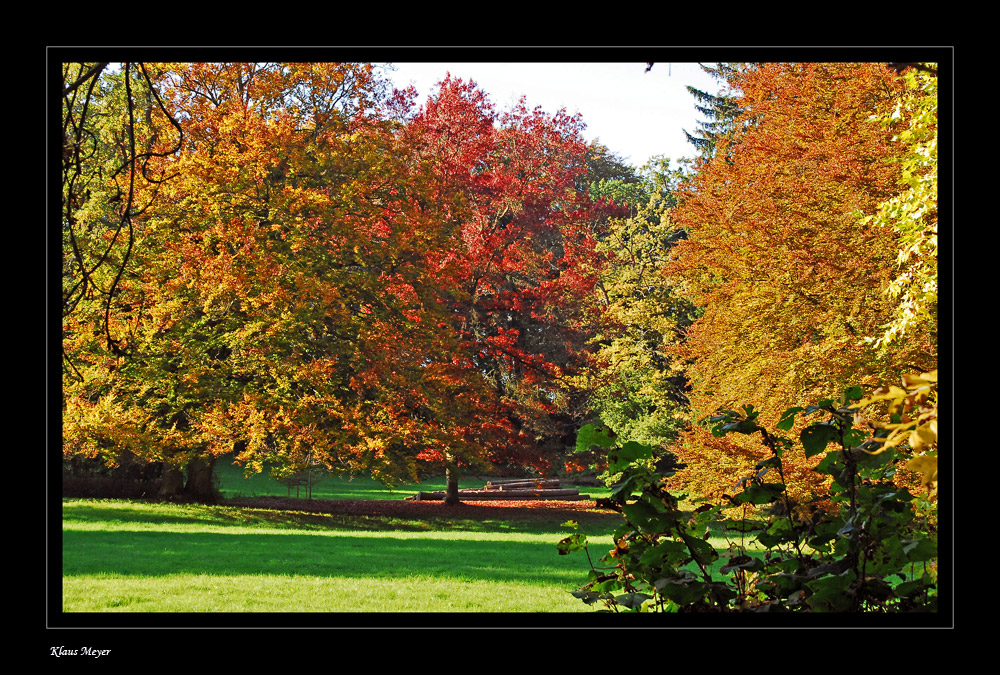 Der Herbst in seinen schönsten Farben