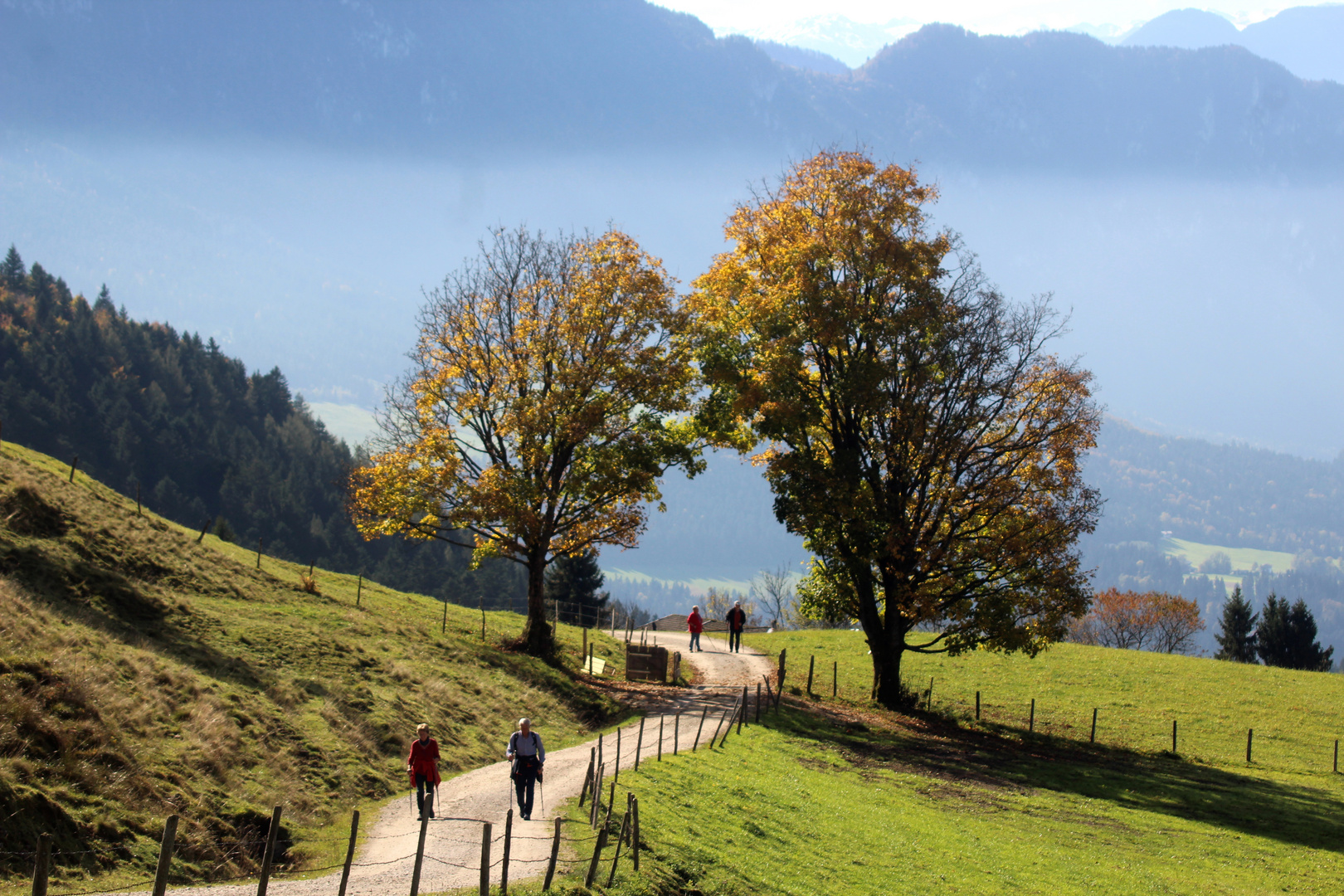 Der Herbst in seinen schönsten Farben