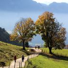 Der Herbst in seinen schönsten Farben