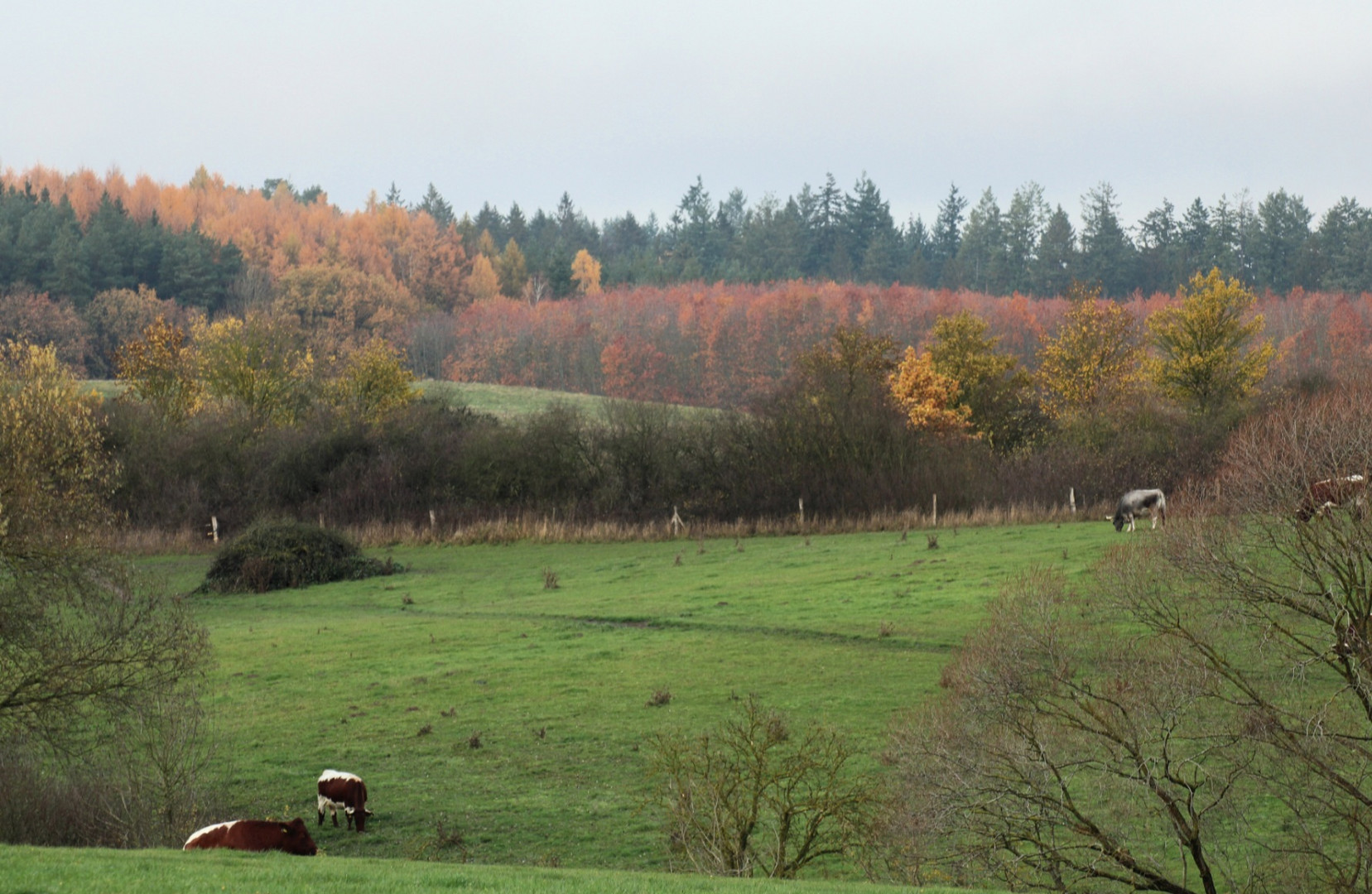 Der Herbst in seinen schönsten Farben